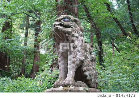 鳥取県伯耆大山　大神山神社狛犬 81454173