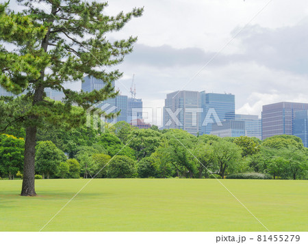 江戸城18 本丸跡 江戸城18 本丸跡 81455279