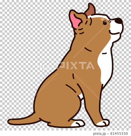 一隻簡單可愛的美國比特鬥牛犬的插圖,側身坐在一條主線上 一隻簡單可愛的美國比特鬥牛犬的插圖,側身坐在一條主線上 81455330