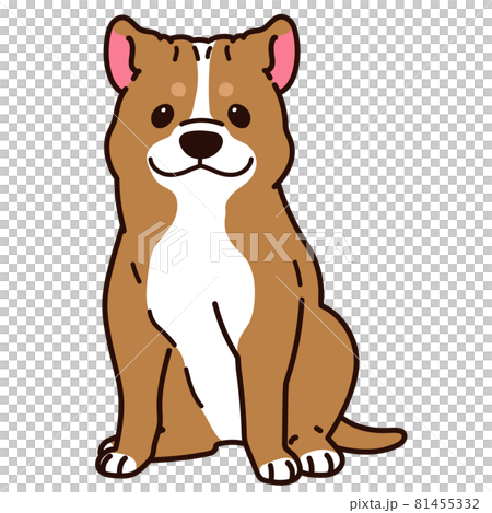 一隻簡單可愛的美國比特鬥牛犬正對著主線坐著的插圖 一隻簡單可愛的美國比特鬥牛犬正對著主線坐著的插圖 81455332