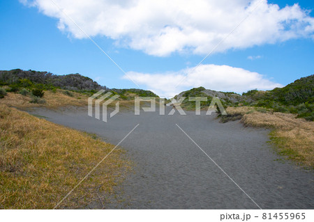 館山の砂丘 81455965
