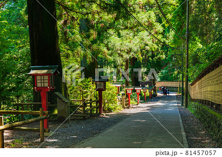 高尾山 登山道/参道 高尾山 登山道/参道 81457057