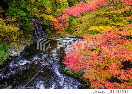 中野もみじ山公園　不動の滝（青森県黒石市） 81457555