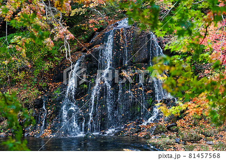 中野もみじ山公園　不動の滝（青森県黒石市） 81457568