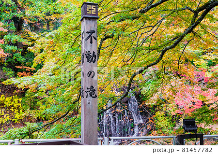 中野もみじ山公園 不動の滝(青森県黒石市) 中野もみじ山公園 不動の滝(青森県黒石市) 81457782