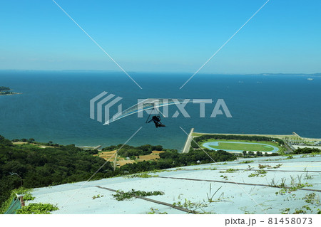 田原市白谷衣笠山から飛び立つハンググライダー 81458073