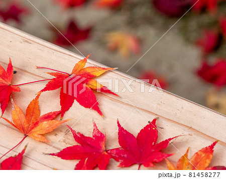 秋らしい景色の写真素材