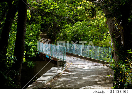 国府津駅からのハイキングコース 81458465