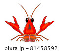 ザリガニ 81458592