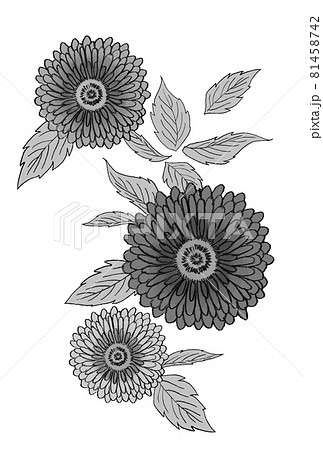 ガーベラのイラスト素材のイラスト素材