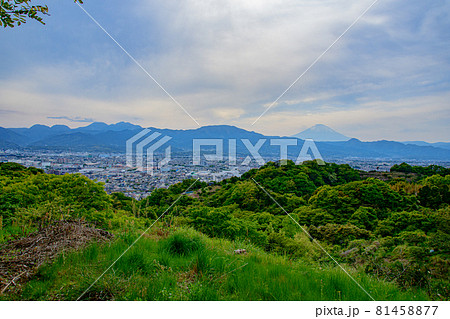 山から見た小田原の景色 山から見た小田原の景色 81458877