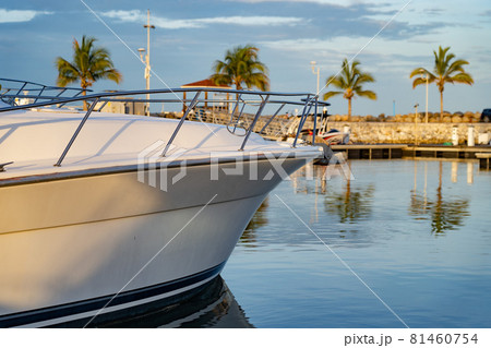 Motor Boat Docked at the tropical Marina with palm tree and blue sky. Travel and vacation concept Motor Boat Docked at the tropical Marina with palm tree and blue sky. Travel and vacation concept 81460754