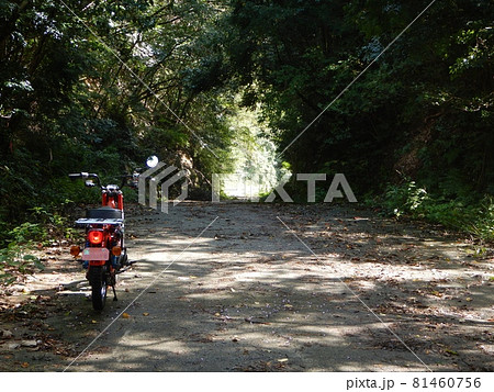 山あいハンターカブで抜け道探索 山あいハンターカブで抜け道探索 81460756