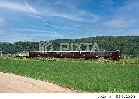 富良野・美瑛ノロッコ号の編成 富良野・美瑛ノロッコ号の編成 81461558