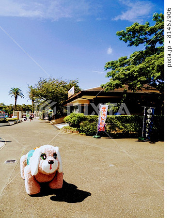 【神奈川_三浦】マリンパークのレトロ遊具 【神奈川_三浦】マリンパークのレトロ遊具 81462906