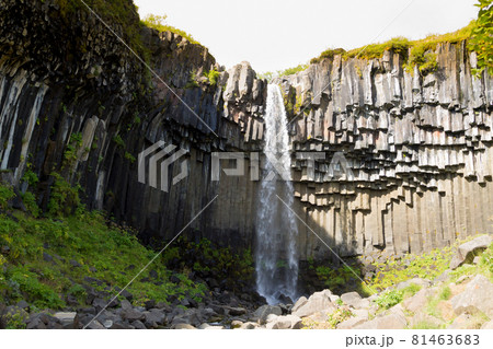 Svartifoss falls in summer season view, Iceland 81463683