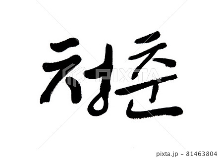 Korean text translation Youth  81463804