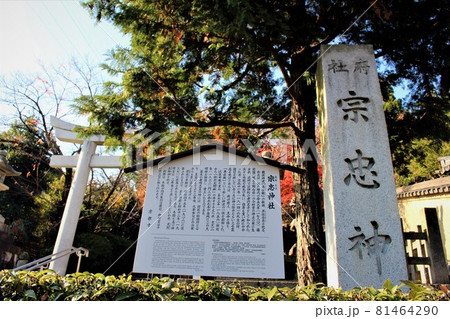 宗忠神社と紅葉 81464290