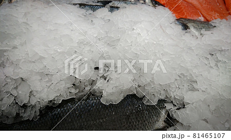 Trout carcasses lying under ice on the shelf of a fish store 81465107