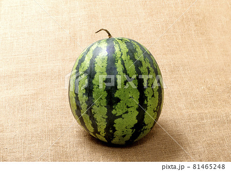 スイカ　西瓜　夏イメージ　すいか　イメージ素材 81465248