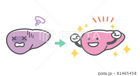 人間の肝臓の病気から回復するビフォーアフター 81465458