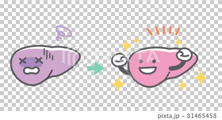 人間の肝臓の病気から回復するビフォーアフター 81465458