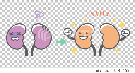 Before and after recovering from human kidney disease 81465556