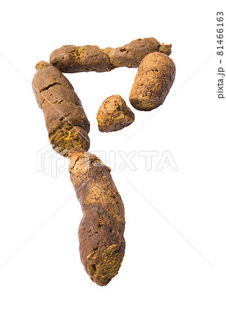 Cat poop isolated Cat poop isolated 81466163