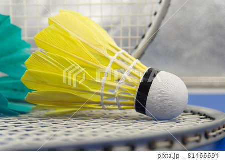 Badminton feather shuttlecocks near rackets 81466694