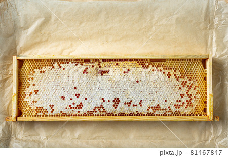 wooden frame of honey combs wooden frame of honey combs 81467847