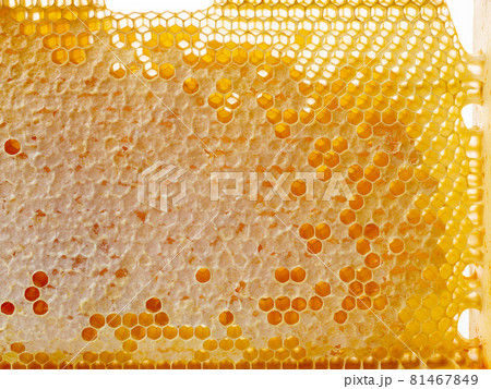 fresh honey combs fresh honey combs 81467849