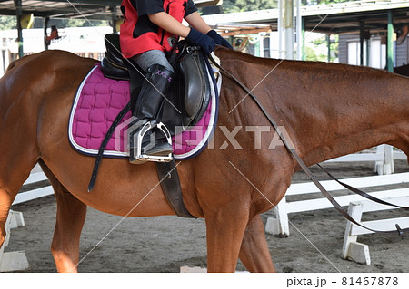 乗馬を楽しむ子供 乗馬を楽しむ子供 81467878