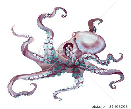 Watercolor Octopus Sea Pulpa Devilish With Stock Illustration