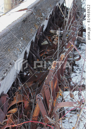 Old Pioneer Seeder Abandoned in the Bush 81468922
