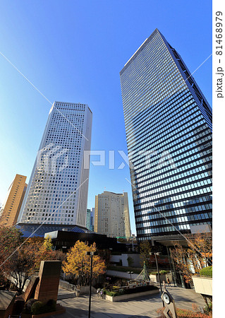 東京 西新宿の都市風景 超高層ビル群と紅葉 東京 西新宿の都市風景 超高層ビル群と紅葉 81468979