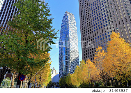 東京　西新宿の都市風景　超高層ビル群と紅葉 81468987