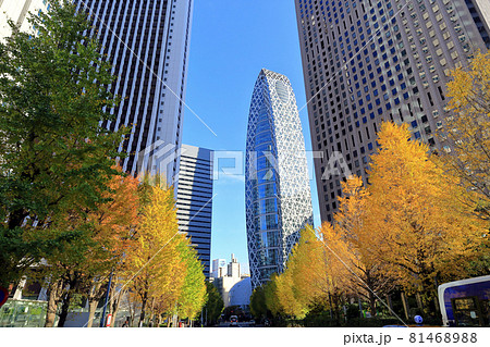 東京　西新宿の都市風景　超高層ビル群と紅葉 81468988