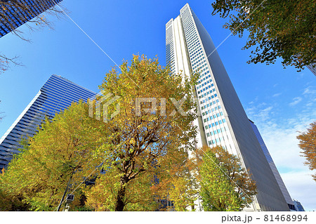 東京 西新宿の都市風景 超高層ビル群と紅葉 東京 西新宿の都市風景 超高層ビル群と紅葉 81468994