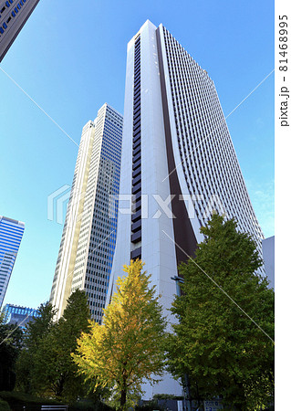 東京 西新宿の都市風景 超高層ビル群と紅葉 東京 西新宿の都市風景 超高層ビル群と紅葉 81468995
