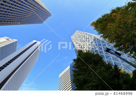 東京 西新宿の都市風景 超高層ビル群と紅葉 東京 西新宿の都市風景 超高層ビル群と紅葉 81468996