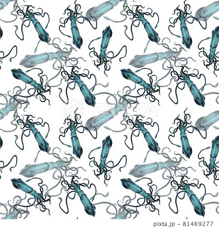 Watercolor squid seamless pattern, hand painted illustration background 81469277