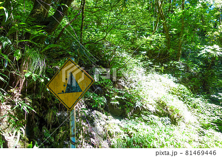 登山道の「落石注意」の看板 登山道の「落石注意」の看板 81469446