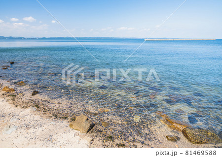 【夏】砂浜から見る青い海と晴れた空の風景　香川県　豊島 81469588