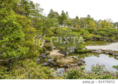 春の総本山仁和寺　霊明殿から見る北庭 81470052