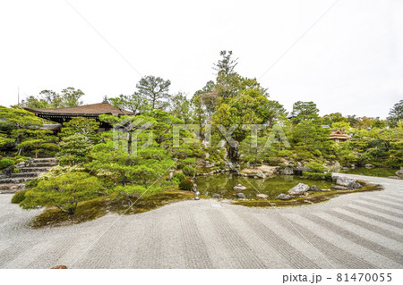 春の総本山仁和寺　北庭 81470055