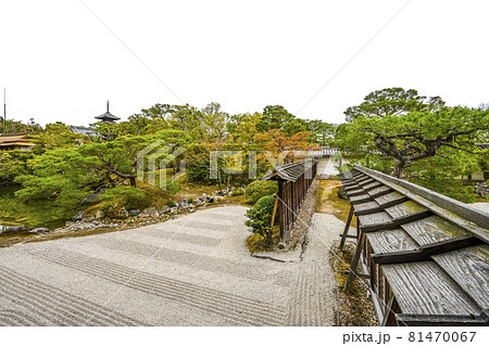 春の総本山仁和寺　宸殿から見る北庭 81470067
