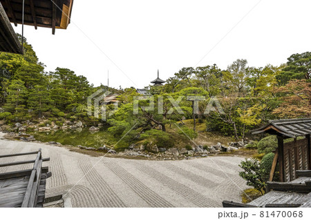 春の総本山仁和寺　宸殿から見る北庭 81470068