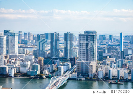 東京晴海の高層ビル群 東京晴海の高層ビル群 81470230