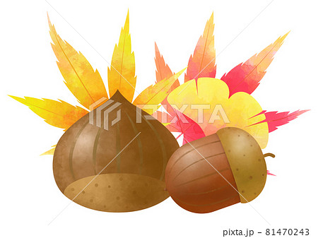 秋、栗と団栗と色づいた葉っぱ 水彩風 81470243