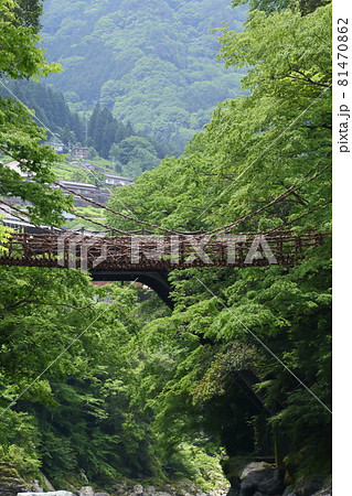 新緑の祖谷のかずら橋 81470862